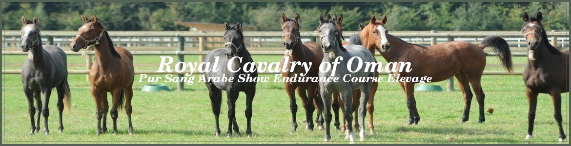 Royal Cavalry of Oman